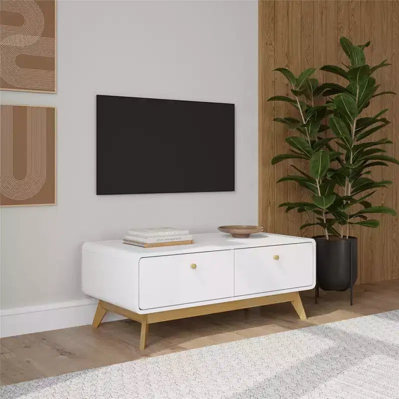 Scandinavian 2-Drawer Curved Entertainment Console | White | 39.5"W | TVs up to 50"